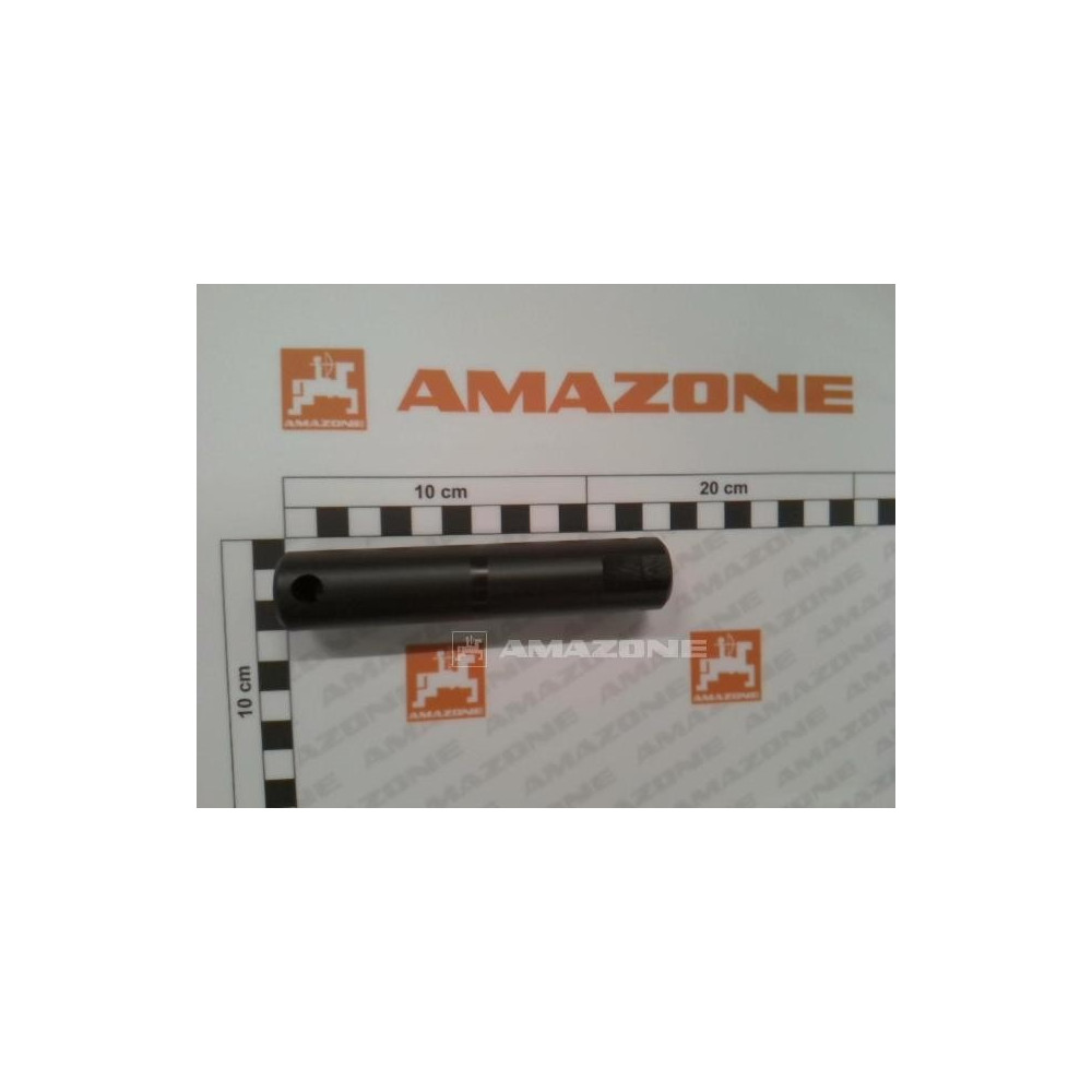 Arbre 112193 Amazone