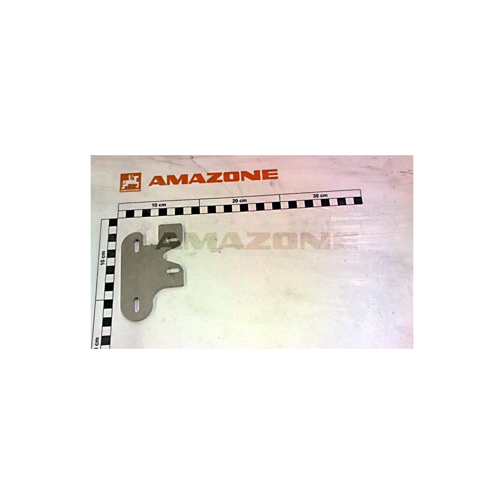 Chariniere du loquet 112739 Amazone