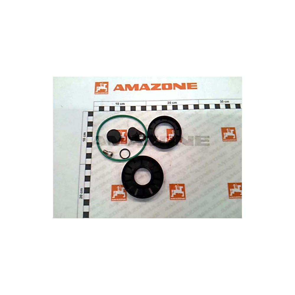 Jeu de joints moteur HYD 118956 Amazone