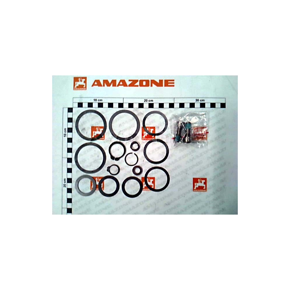 Jeu de reparation 118958 Amazone