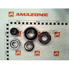 Jeu de roulements moteur HYD 118961 Amazone