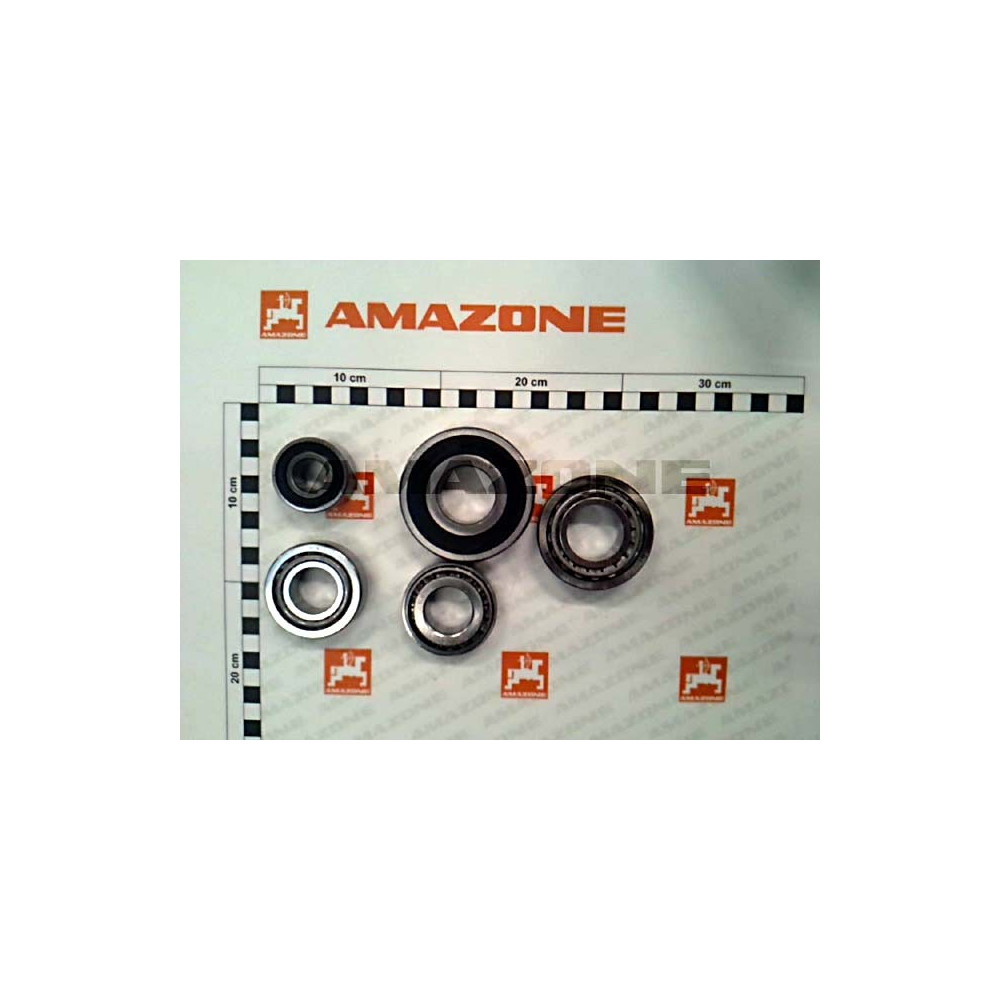 Jeu de roulements moteur HYD 118961 Amazone