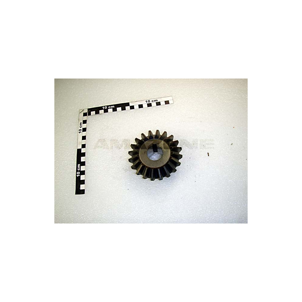 Couronne 20 dents 6/8M 1248900 Amazone