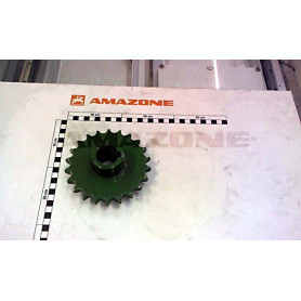 Pignon 22 DTS 1578800 Amazone