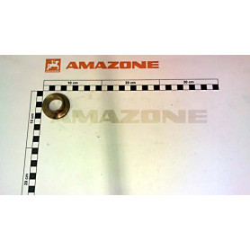Bague D_ 30 1876800 Amazone