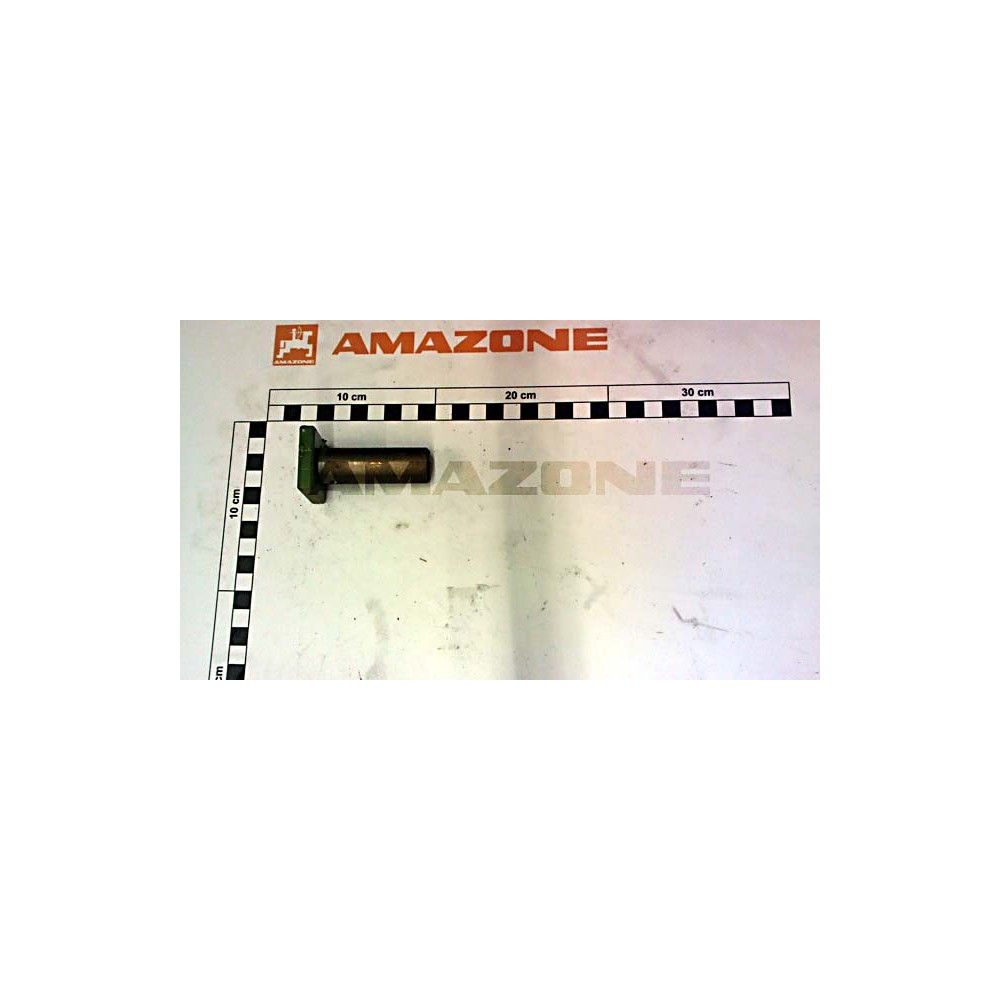 Crabot male 1922730 Amazone
