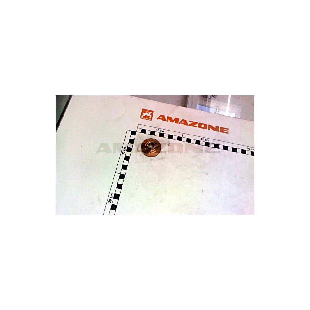 Bague ED 205807 Amazone