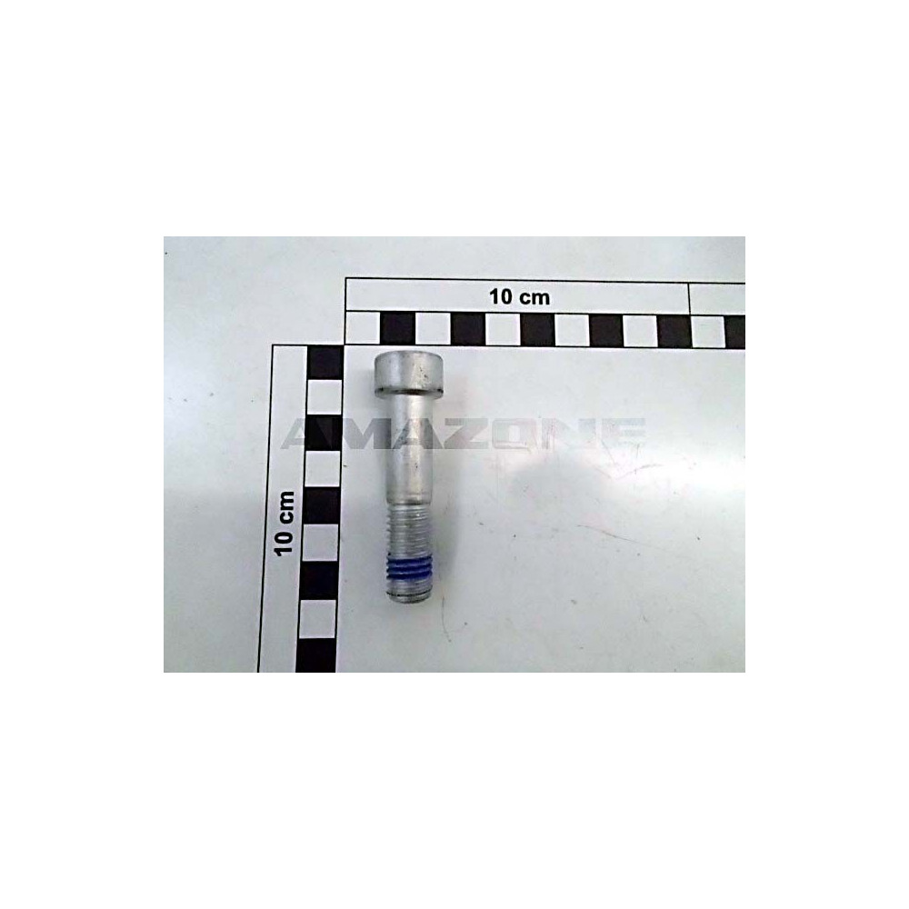 Vis 209387 Amazone
