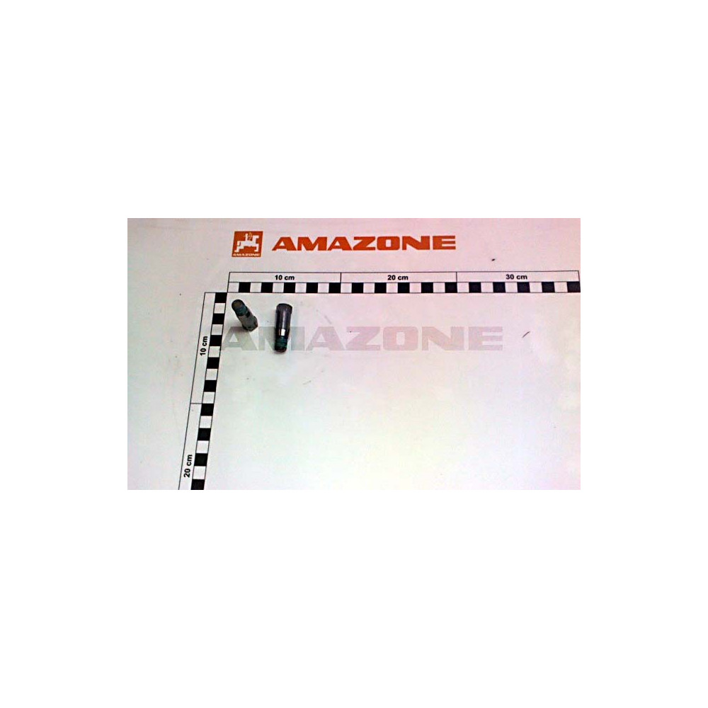Vis SW12 10.9 DIN en ISO 898-1 209753 Amazone