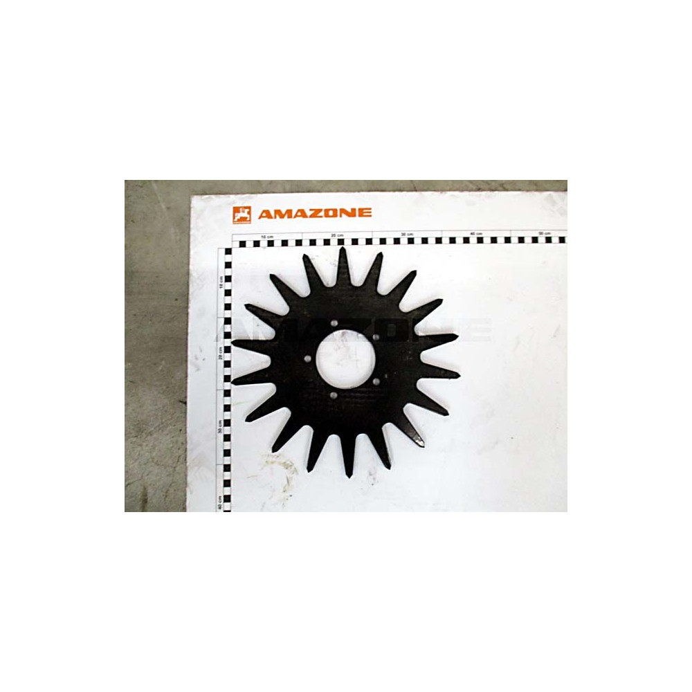 Etoile chasse motte 209826 Amazone