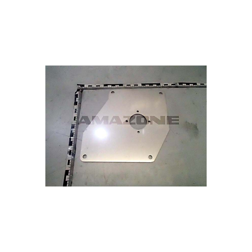 Plaque microgranulateur 210004 Amazone