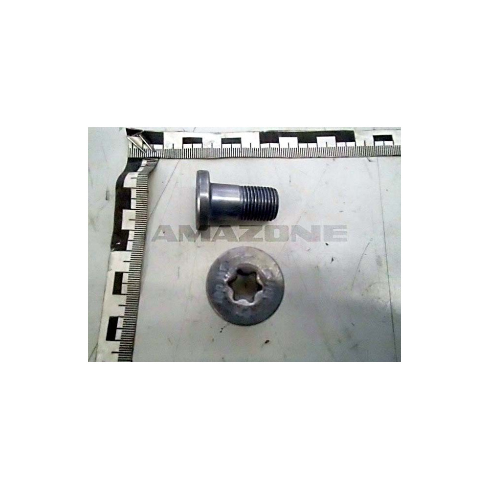 Vis 16X30 10.9 twin TEC 210574 Amazone