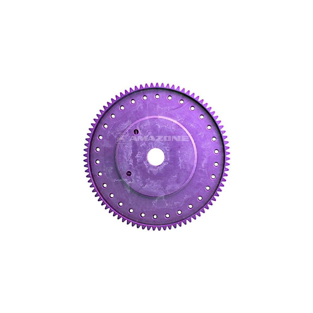 Disq mais lilas 30/5,4 214186 Amazone