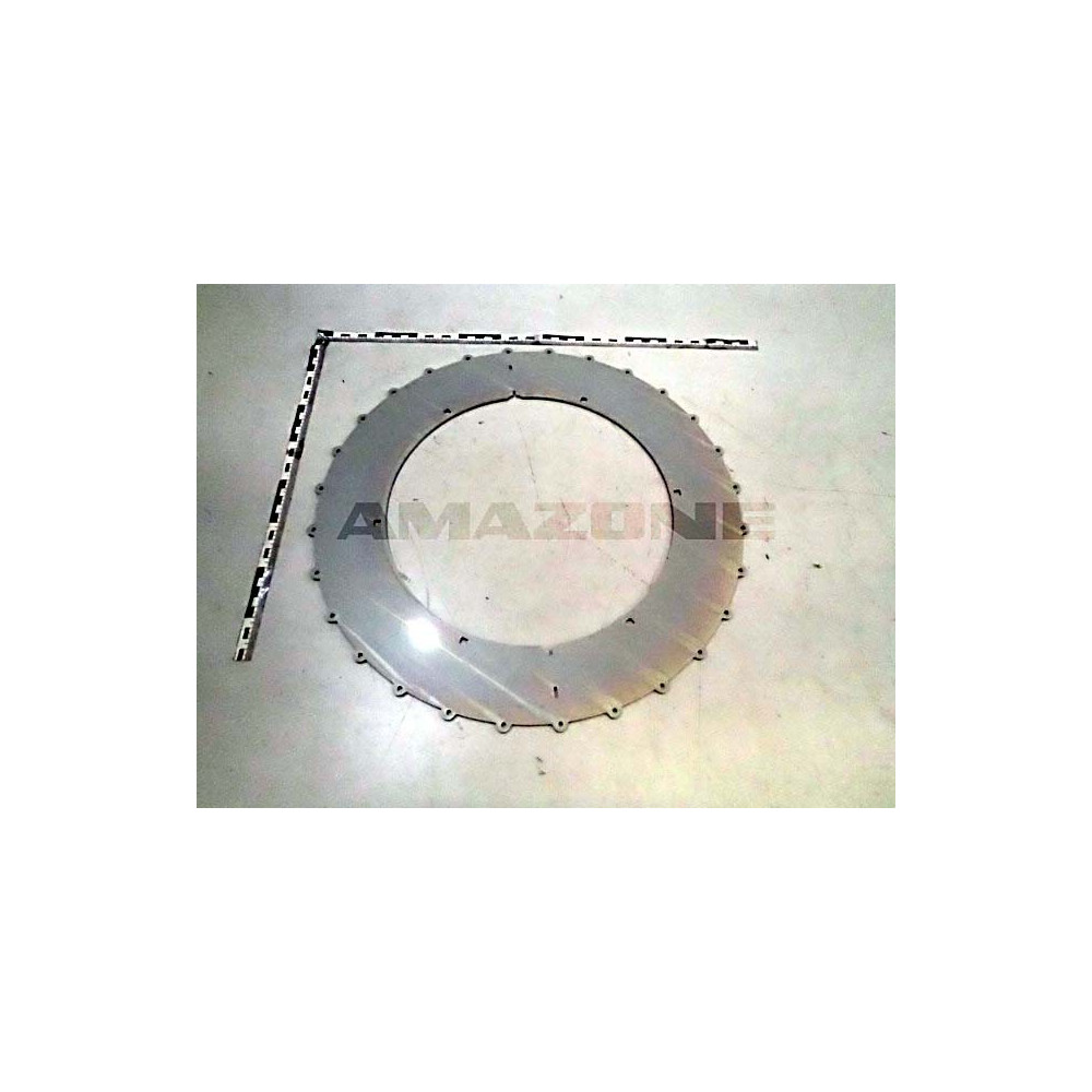 Plaque inférieur tete 28 sorites 214981 Amazone