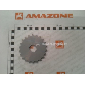 Chaine 215755 Amazone