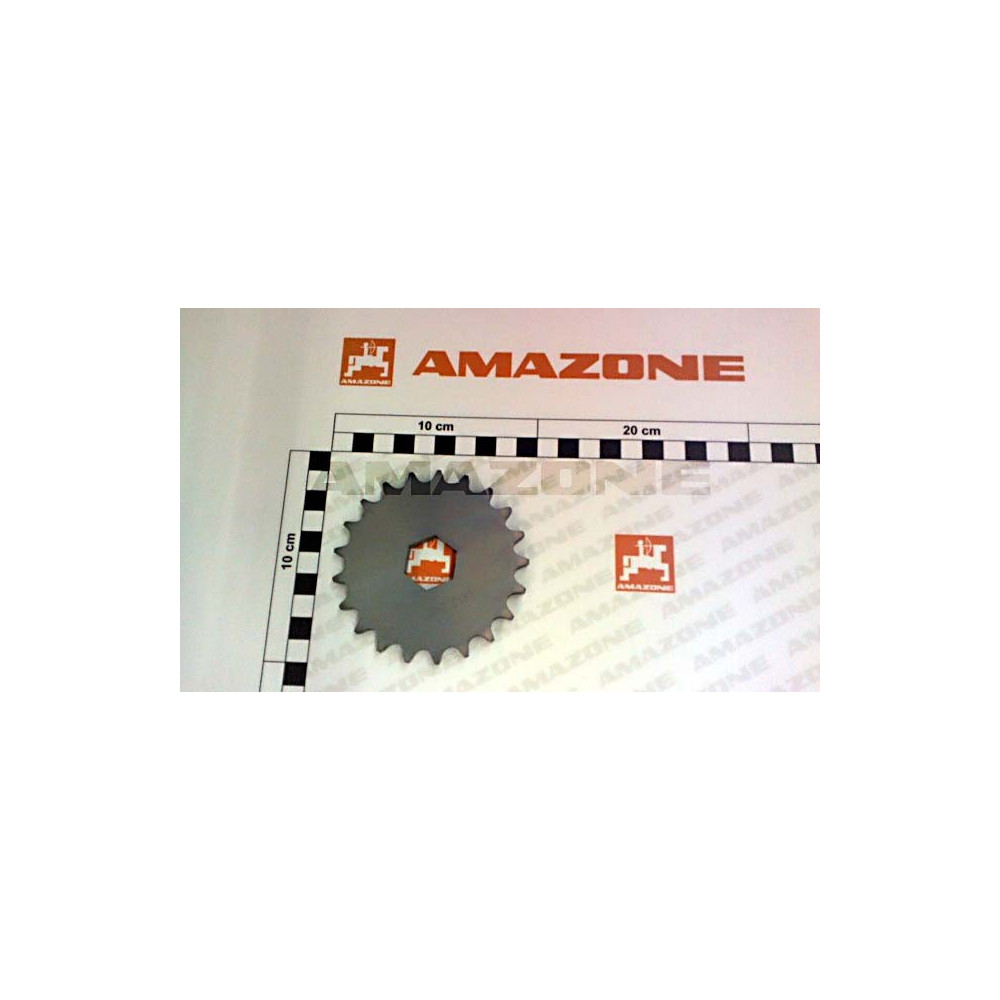 Chaine 215754 Amazone