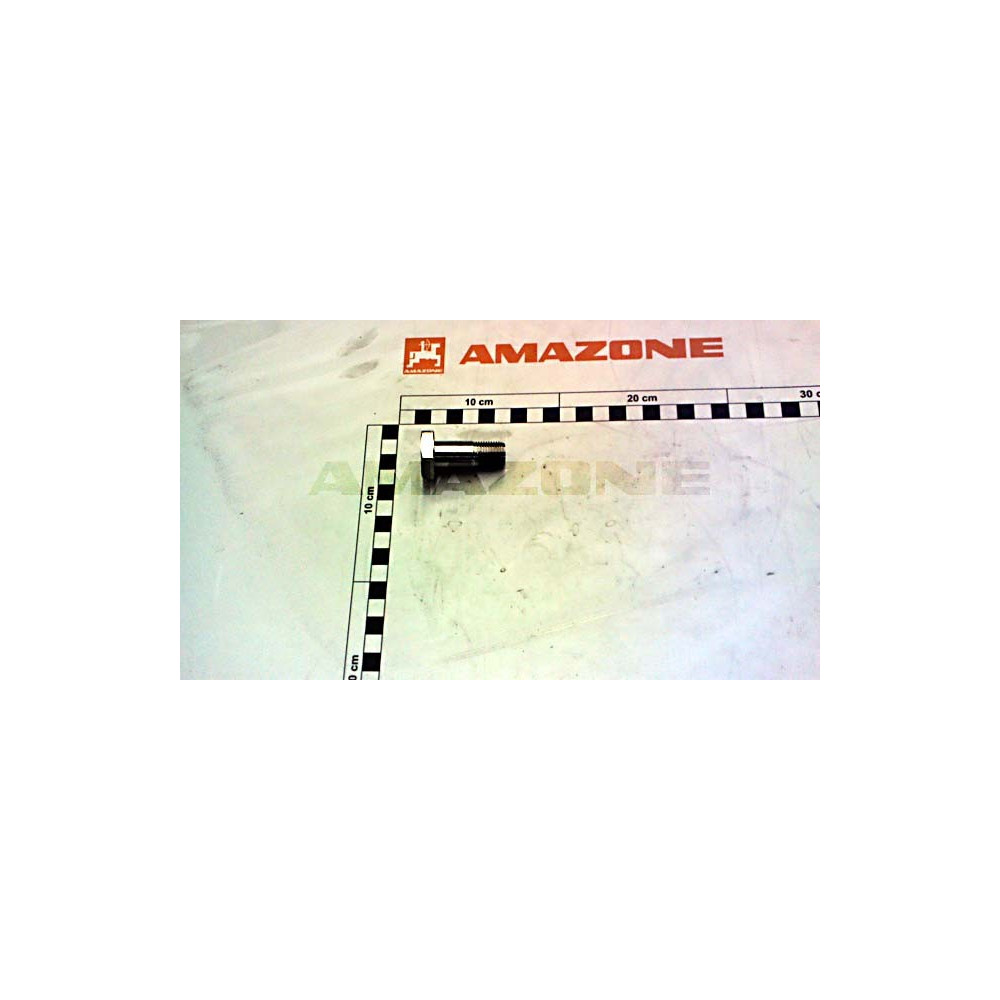Axe 218113 Amazone