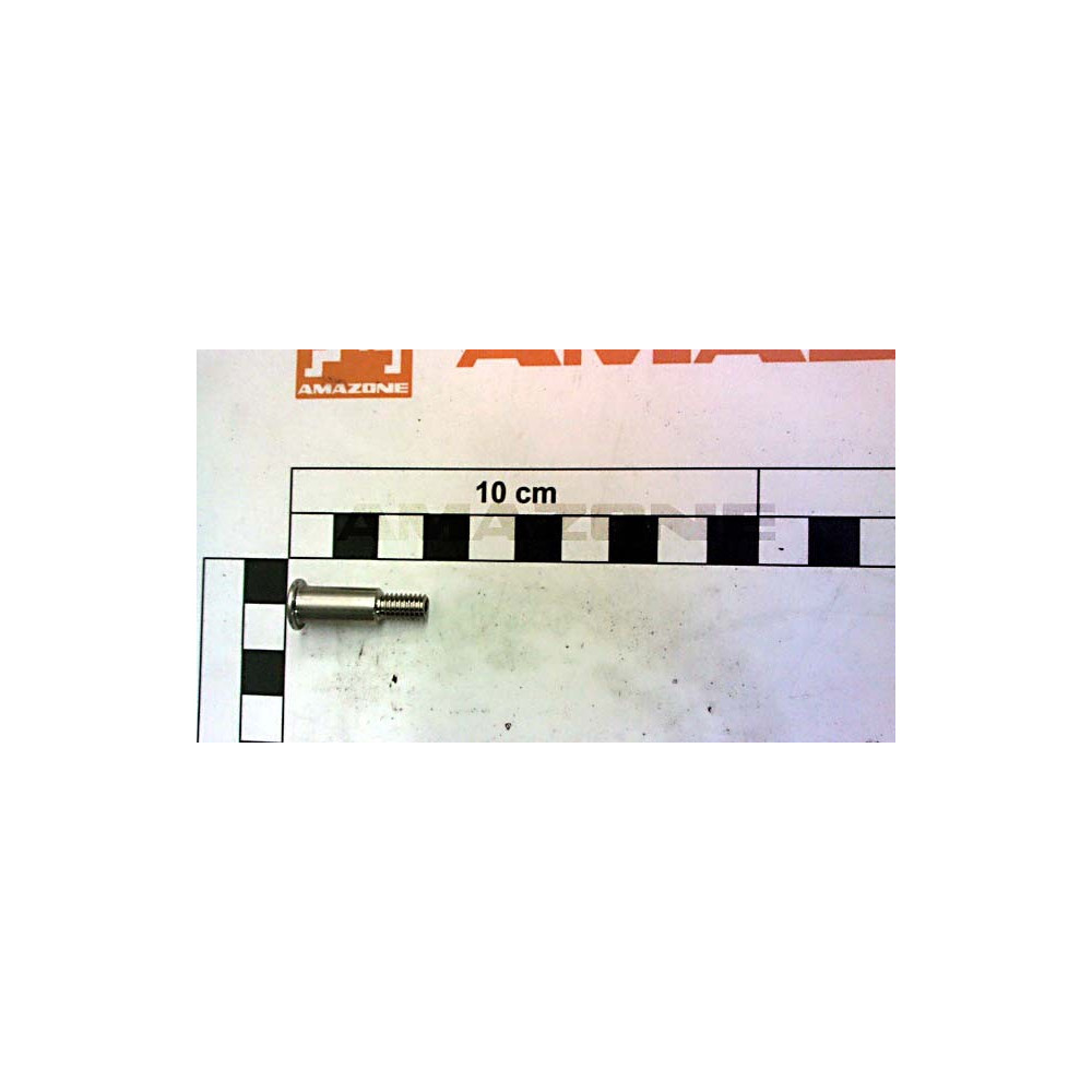 Vis 11X28 precea 220512 Amazone