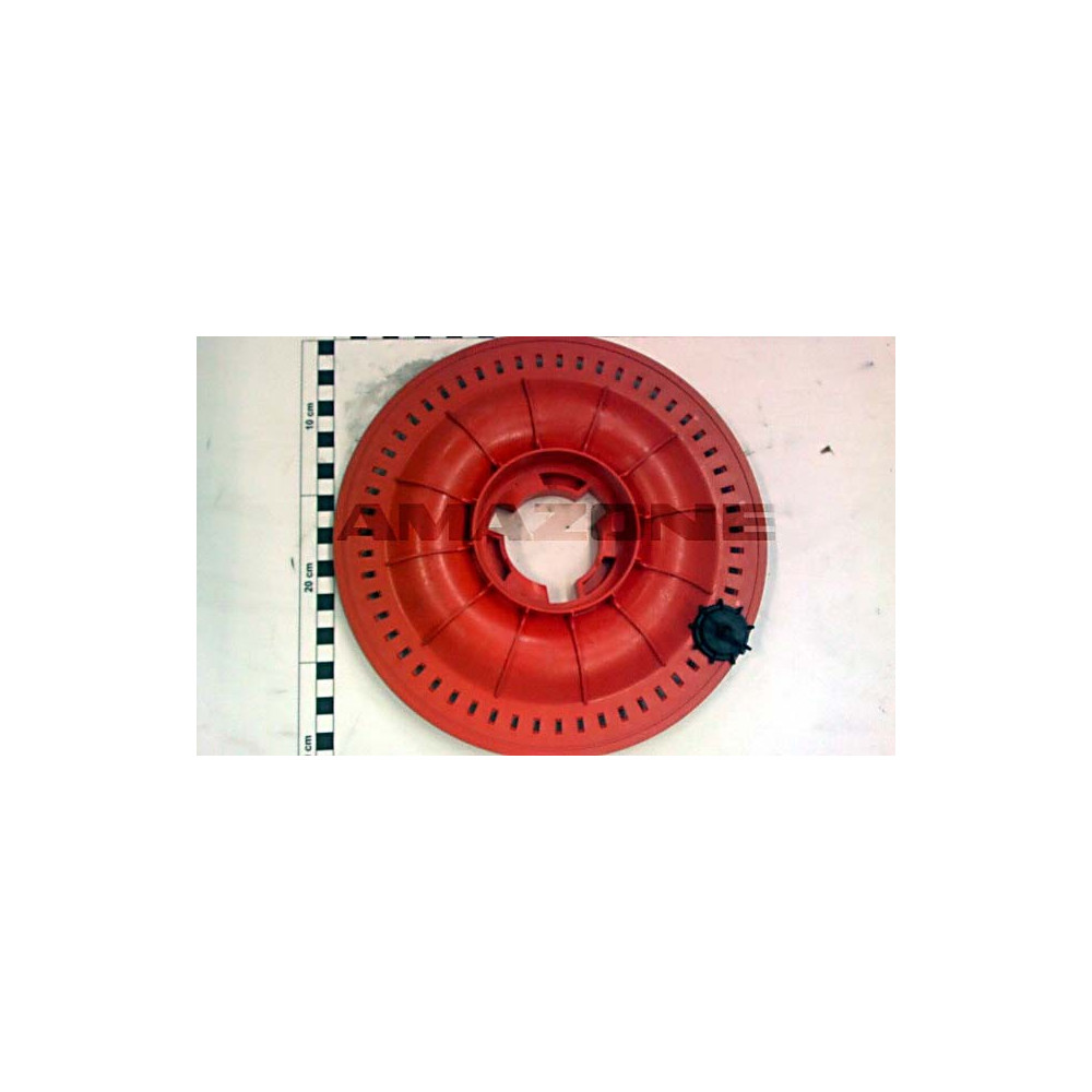 Haricot 6,0 MM 220956 Amazone