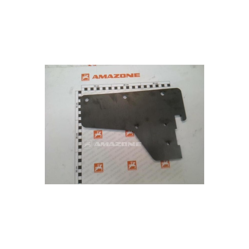 Tole 221719 Amazone