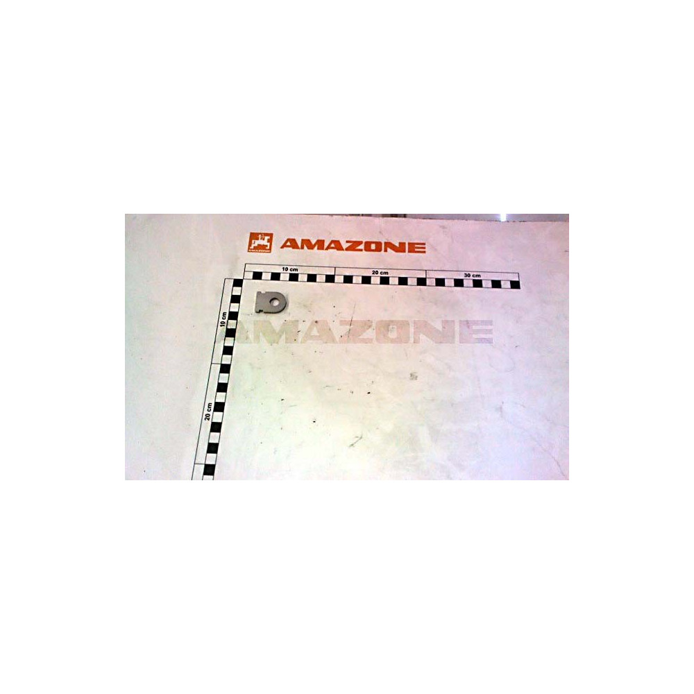 Oeillet 223792 Amazone