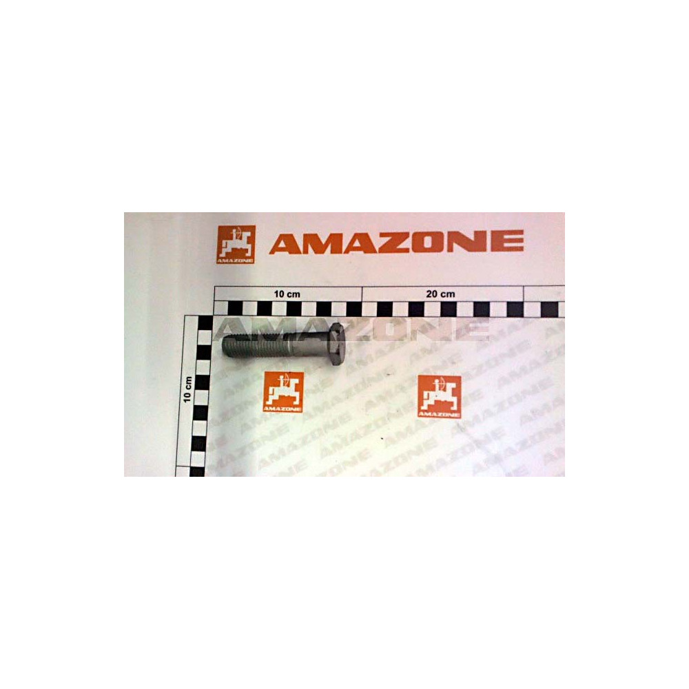 Vis 223951 Amazone