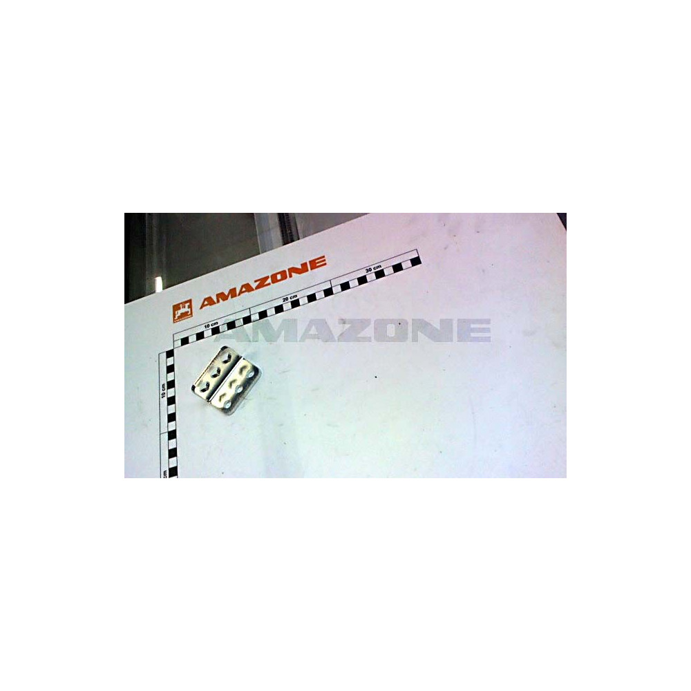 Tole 224426 Amazone