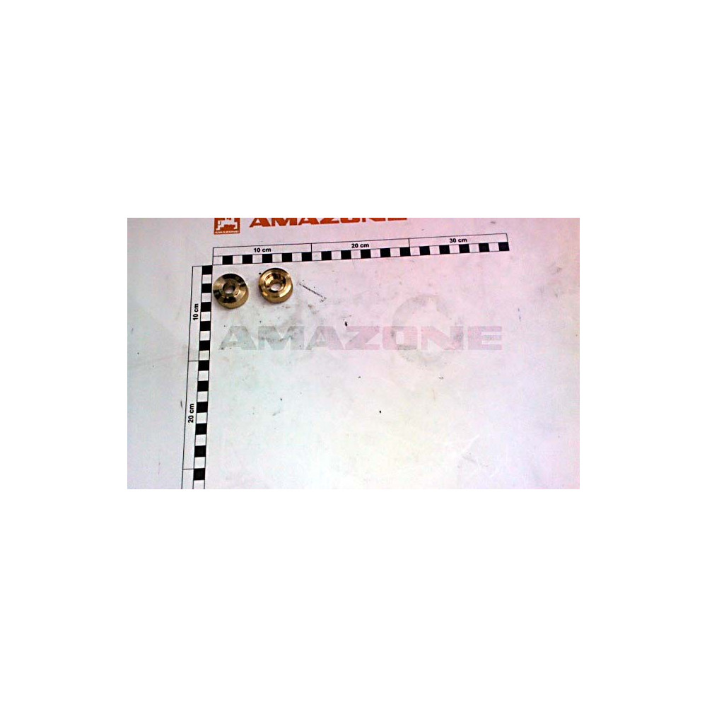 Bague tournante d'echelle 225696 Amazone