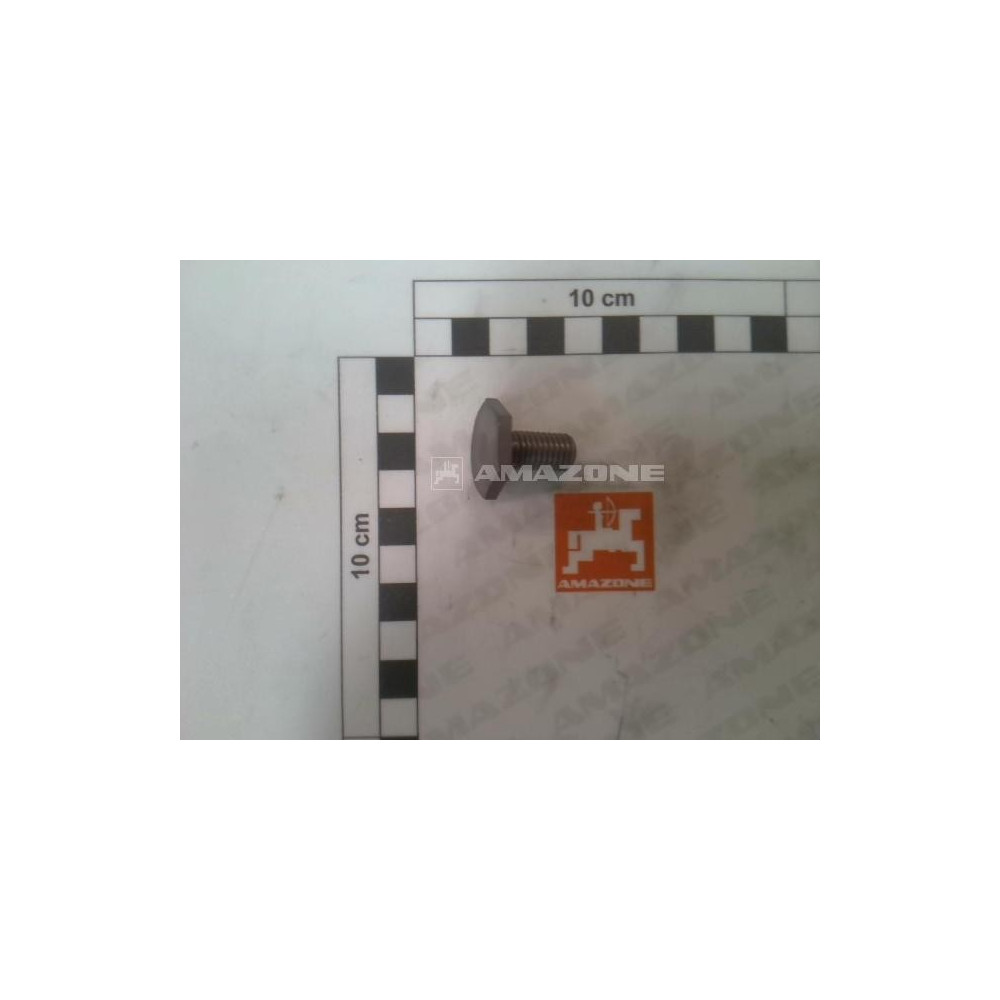 Vis SW22-M10 226716 Amazone