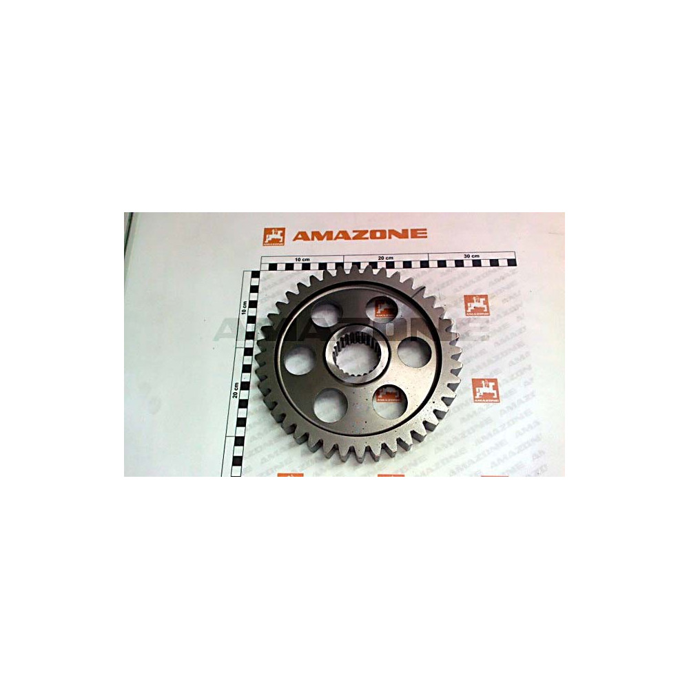 Couronne Z 40 227660 Amazone