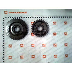 Pignons 36/29 - KG 190 /acc Réf. 231806 - AMAZONE Pignons 36/29 - KG 190 /acc Réf. 231806 - AMAZONE