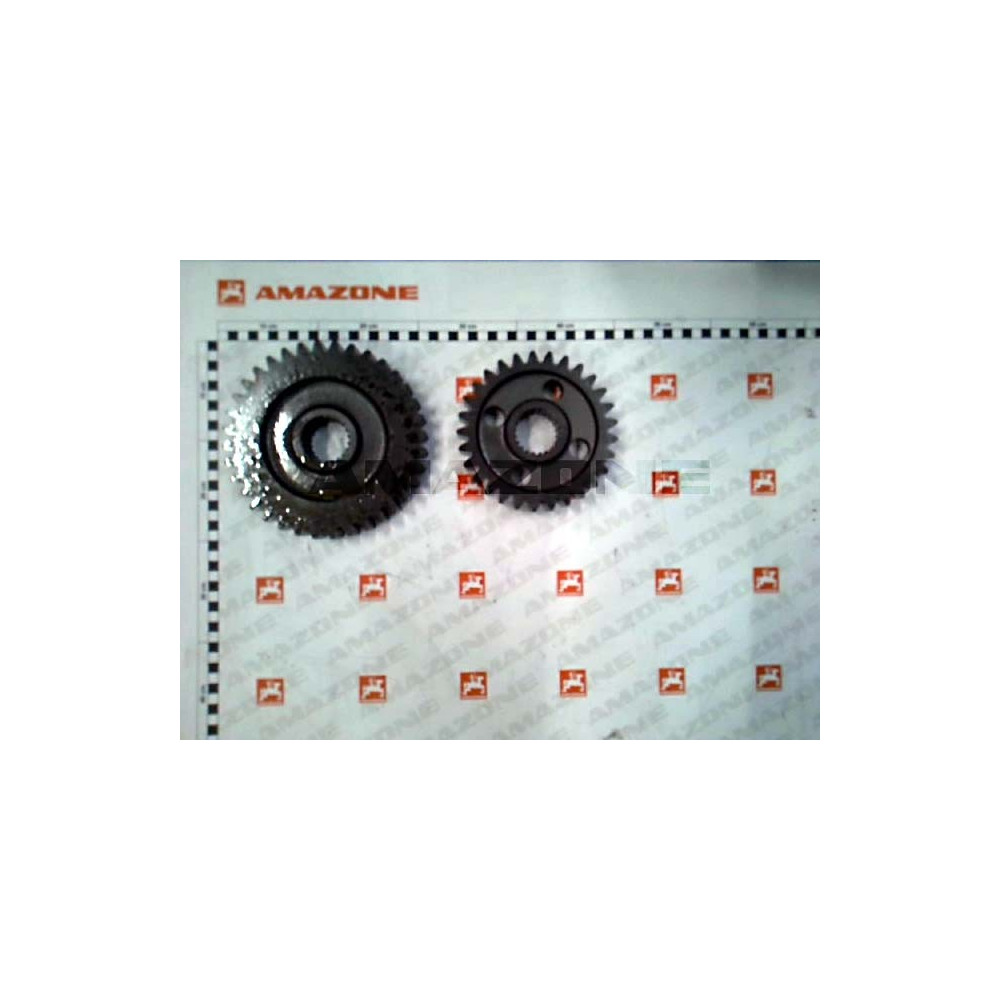 Pignons 36/29 - KG 190 /acc 231806 Amazone