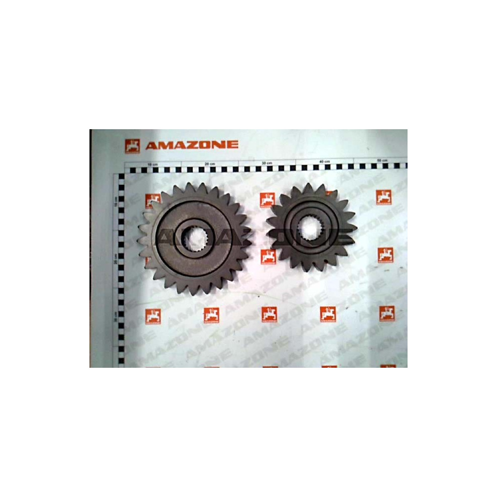 Pignons 19/25-KG rigide /acc 231811 Amazone