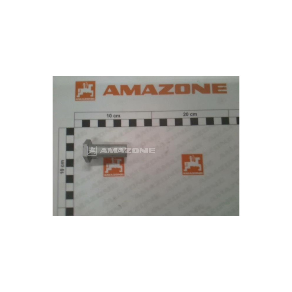Boulon SW24 236244 Amazone