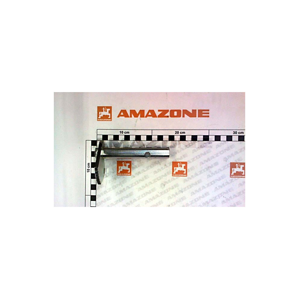 Axe d'entrainement 300605 Amazone