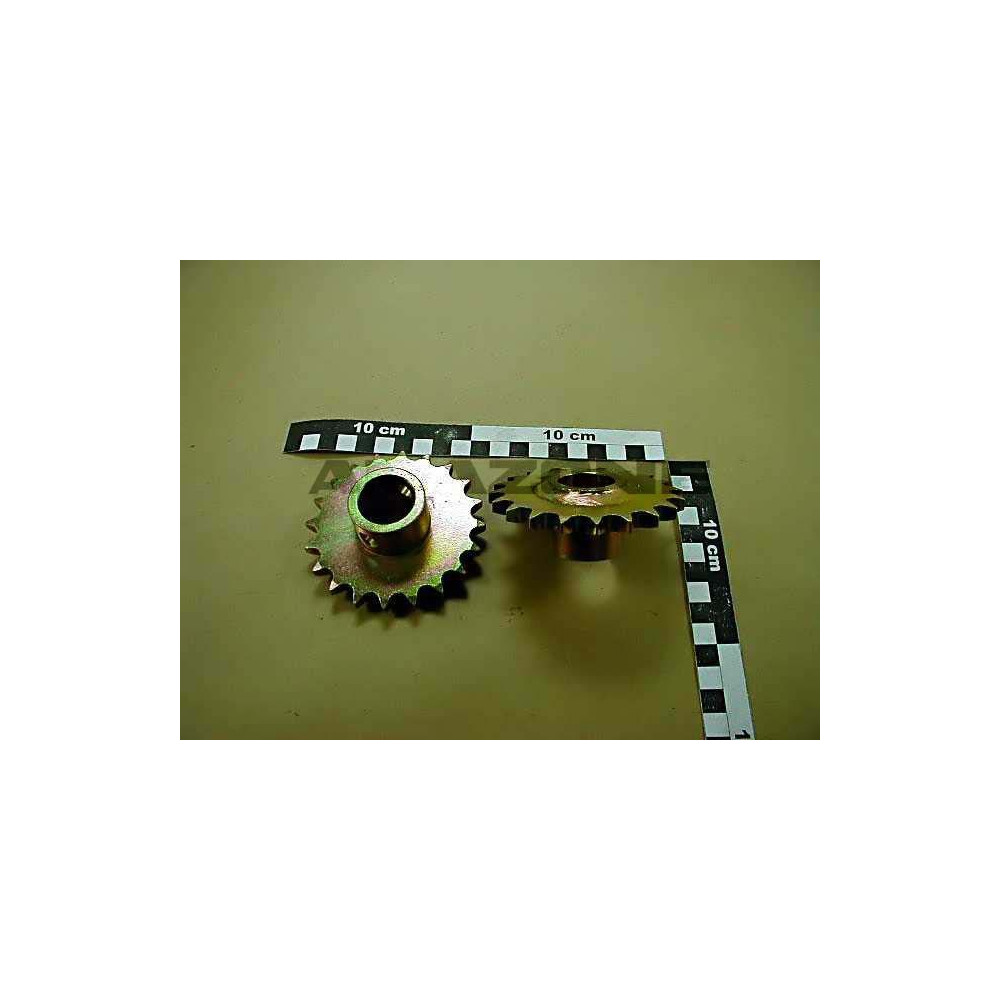Pignon 20 DTS 3430110 Amazone