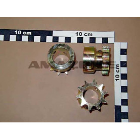 Pignon sortie 10 DTS 3632600 Amazone