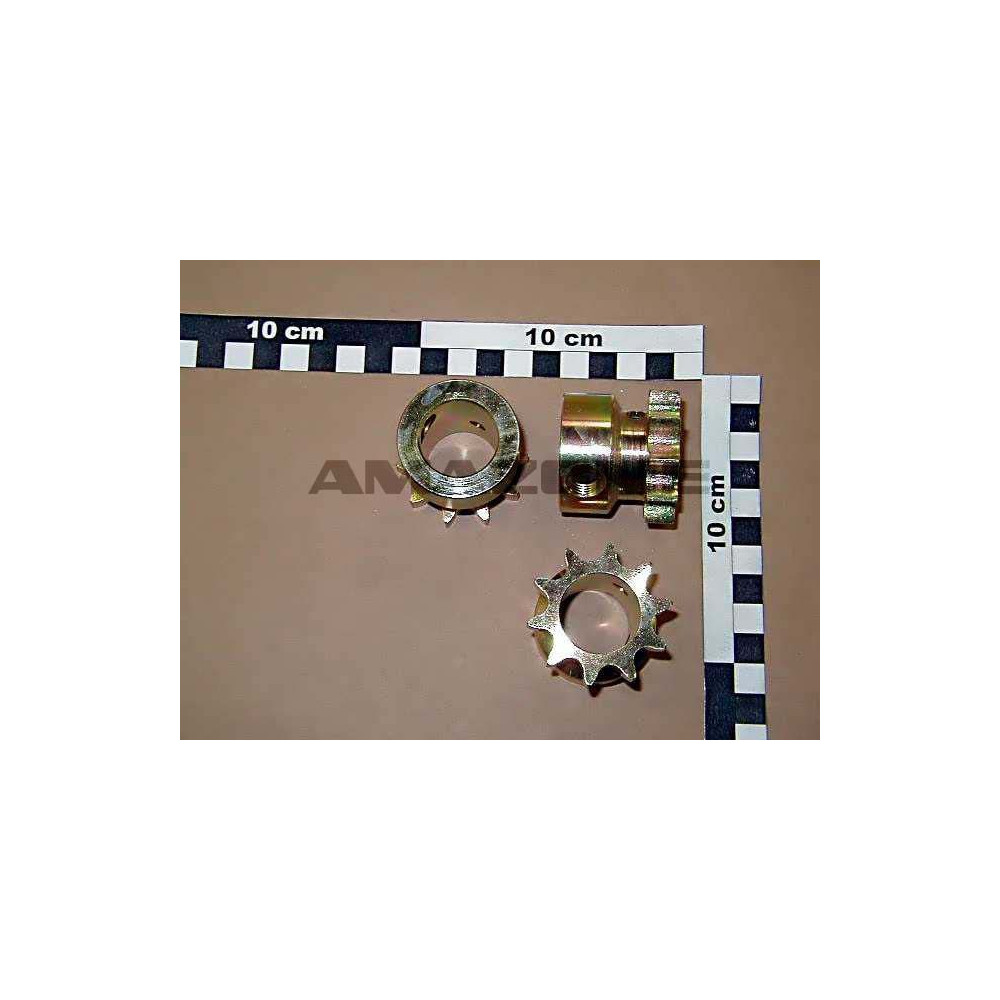 Pignon sortie 10 DTS 3632600 Amazone