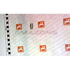 Douille 10X2X21 3678500 Amazone