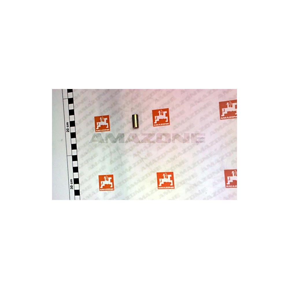 Douille 10X2X21 3678500 Amazone