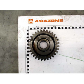 Pignon 31DENTS 6341400 Amazone