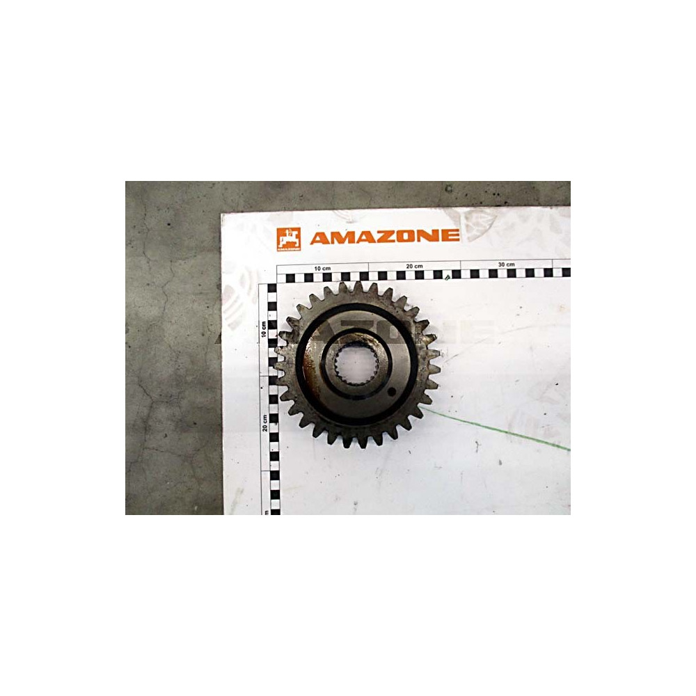 Pignon 31DENTS 6341400 Amazone