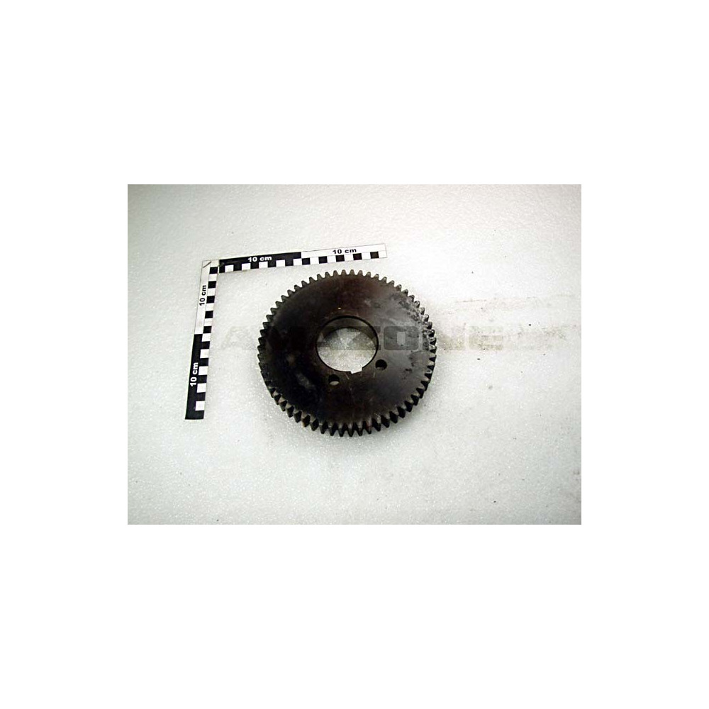 Pignon 60 DTS RED 6546110 Amazone