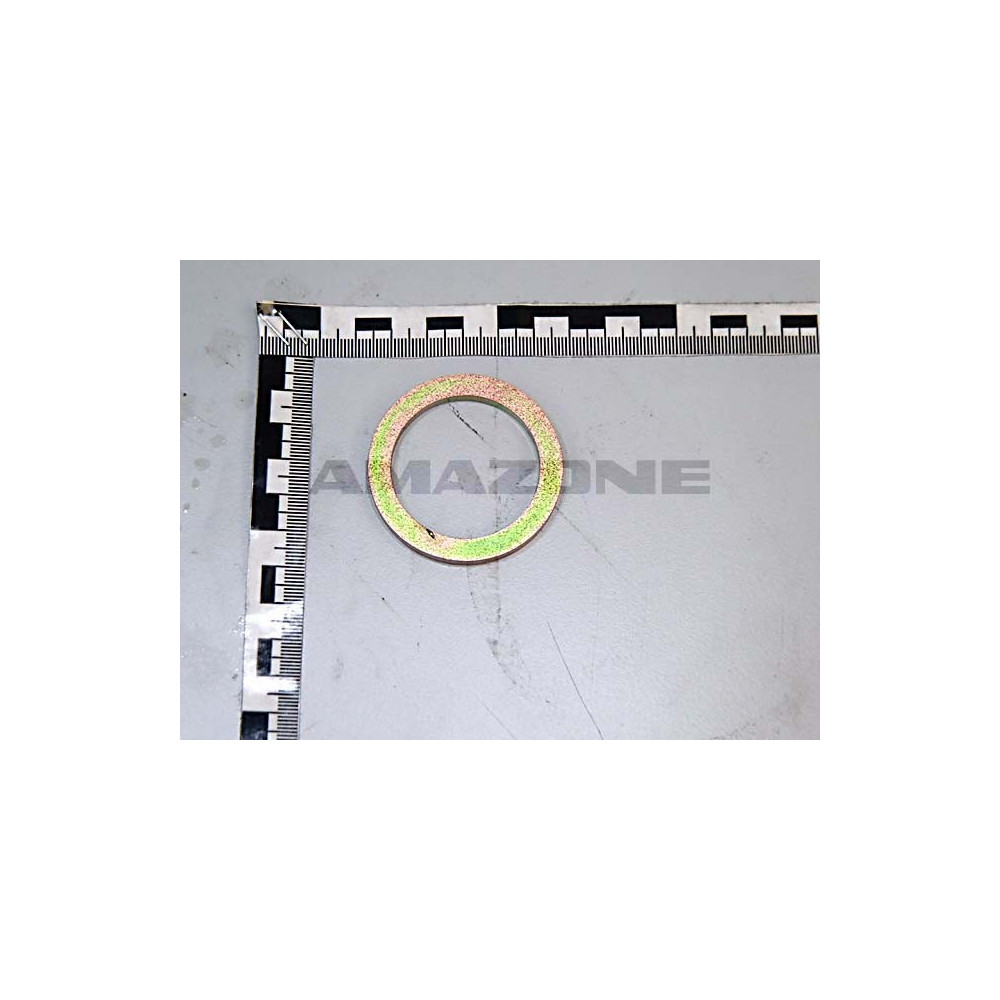 Rondelle 53 X 53 X 5 72000262 Amazone
