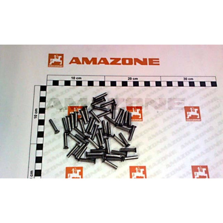 Jeu de rivets (50PCS) Réf. 72401048 - AMAZONE Jeu de rivets (50PCS) Réf. 72401048 - AMAZONE