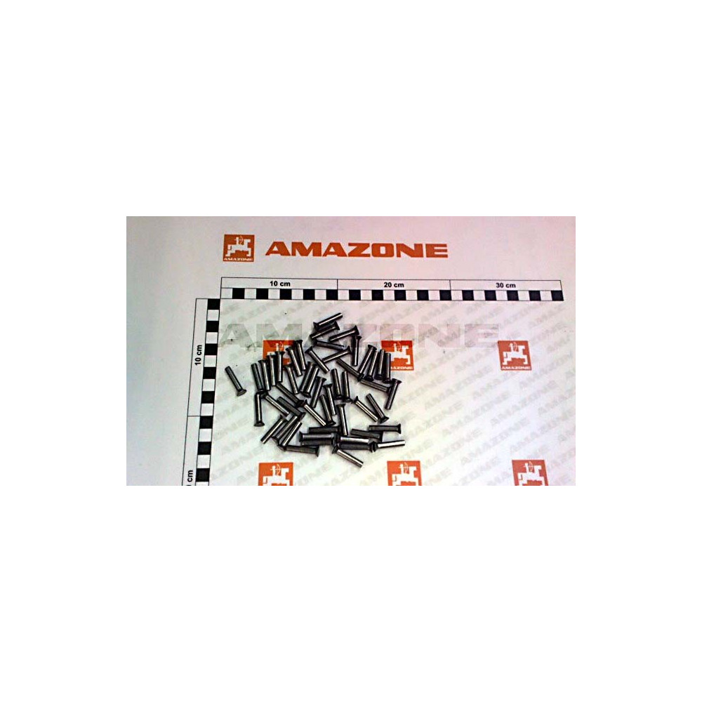 Jeu de rivets (50PCS) 72401048 Amazone