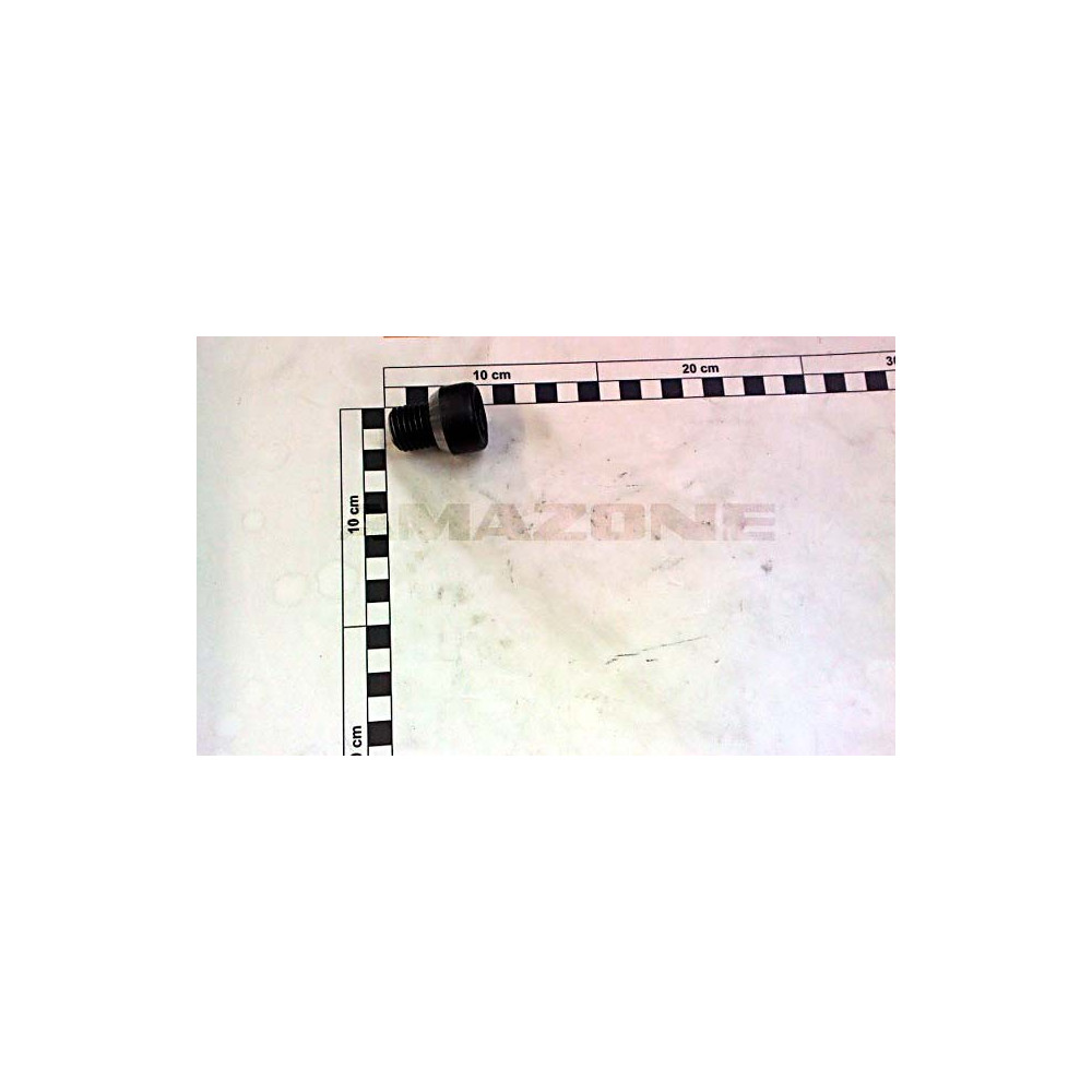 Vis 20X 20 4762 10.9 910763 Amazone