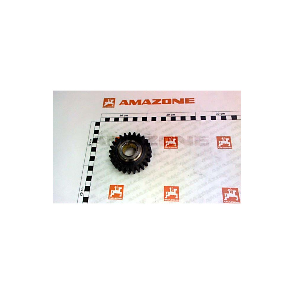 Pignon 25 DTS 910802 Amazone