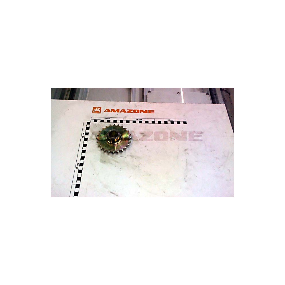 Pignon 24 DTS ED 01 913266 Amazone