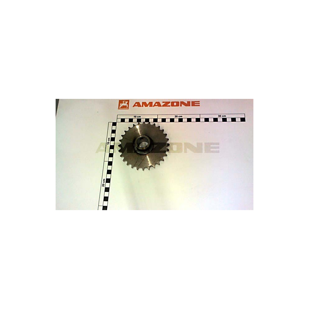 Pignon 28 DTS 913274 Amazone